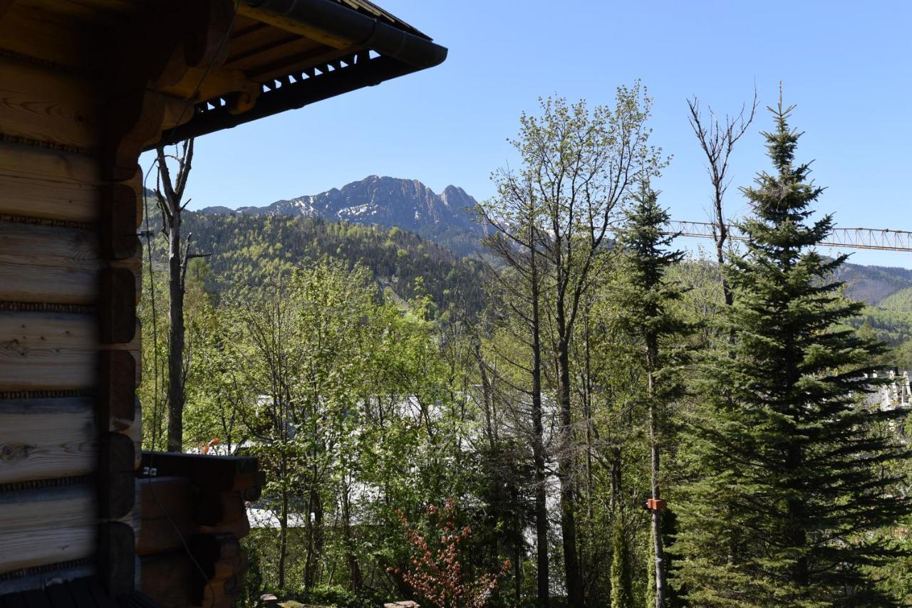 Willa Wojciechowo Zakopane Exterior photo
